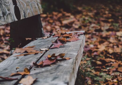 banc automne